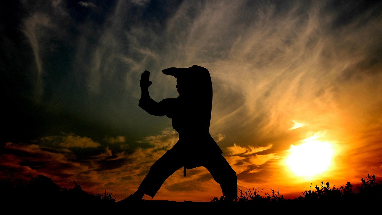 Kobudo Hover